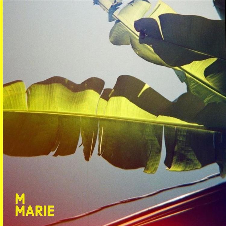 M Marie's avatar image
