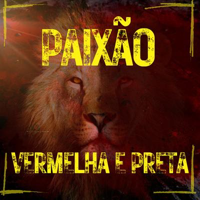 Paixão Vermelha e Preta By Geraldinho Lins, Benil, Andrezza Formiga, Petrúcio Amorim, Nadia Maia, Beto Hortis, Roberto Cruz, Cristina Amaral, Dudu do Acordeon, Pecinho Amorim, Santanna O Cantador, Talitha Accioly, Banda Som da Terra's cover