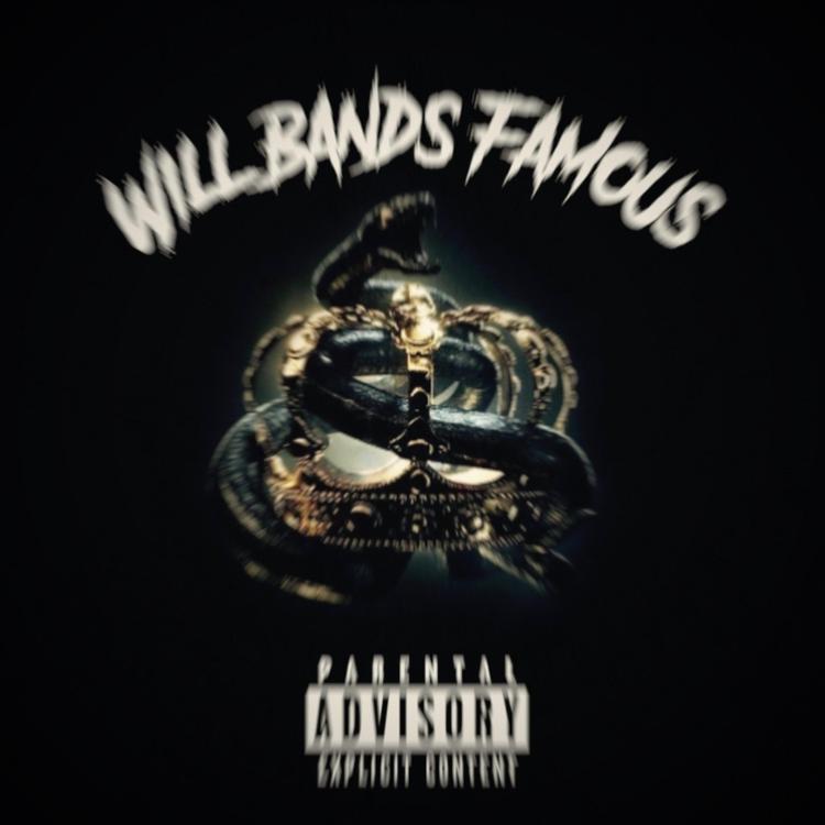 Will Bands's avatar image