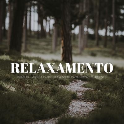 Relaxamento: Sons Calmos Da Floresta À Noite Para Limpar Sua Mente's cover