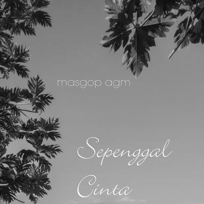 Sepenggal Cinta's cover