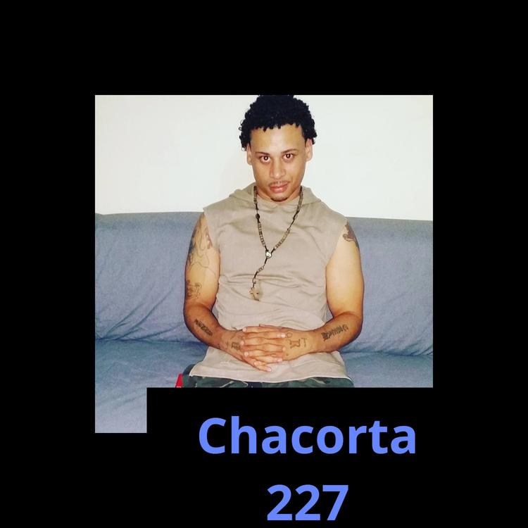 Chacorta 227's avatar image