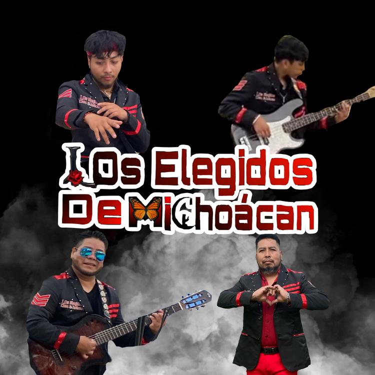 Los Elegidos De Michoácan's avatar image