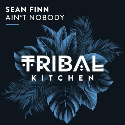 Ain't Nobody By Sean Finn's cover