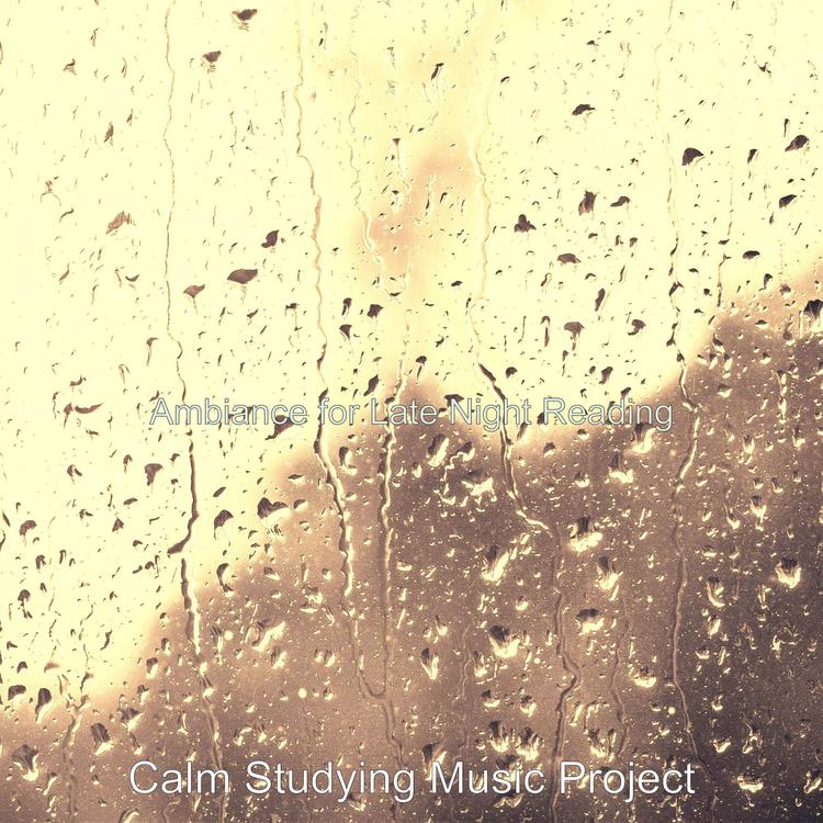 Calm Studying Music Project's avatar image