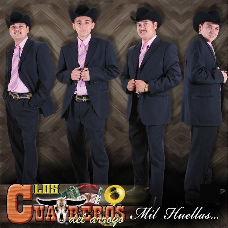 Los Cuatreros Del Arroyo's avatar image