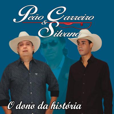 Não Precisa Despedida By Peão Carreiro E Silvano's cover