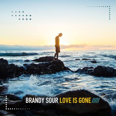 Love Is Gone By Brandy Sour's cover