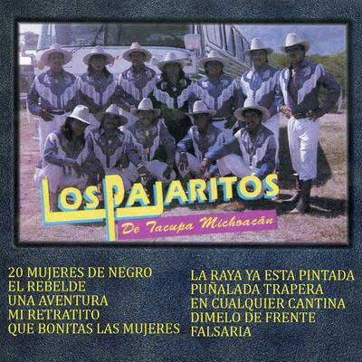 Los Pajaritos De Tacupa Michoacan's cover