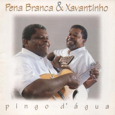 De Papo Pro Ar By Pena Branca & Xavantinho's cover