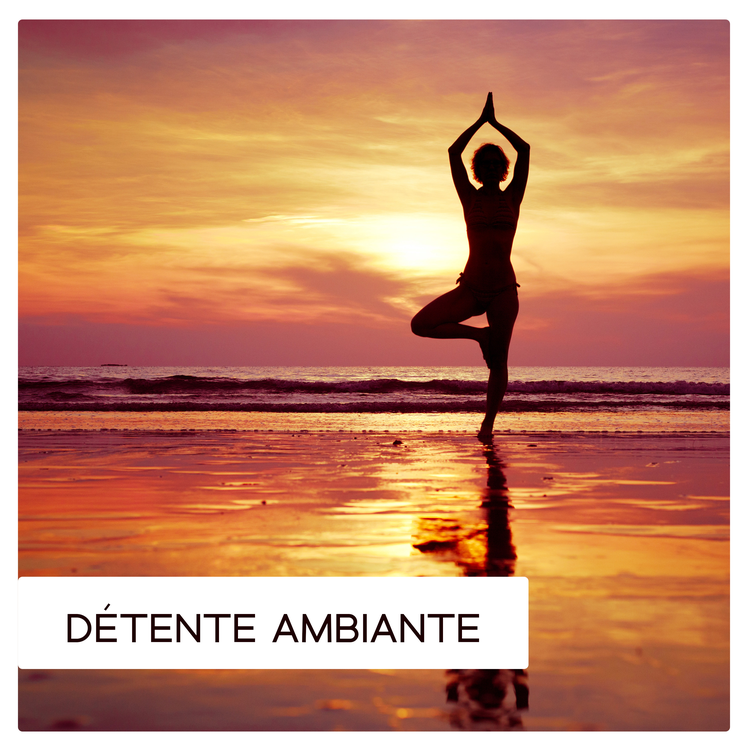 Sophrologie musique d'ambiance's avatar image