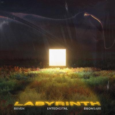 LABYRINTH By Rxven, bbonsai!!!, Entedigital's cover