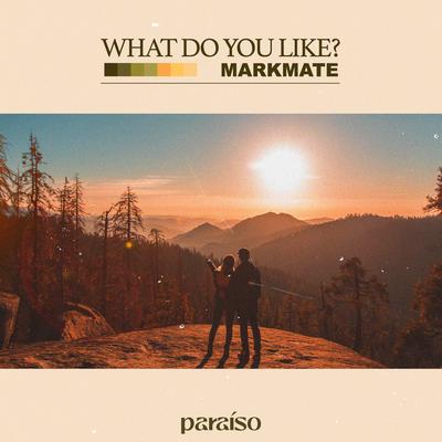 What Do You Like? By MarkMate's cover