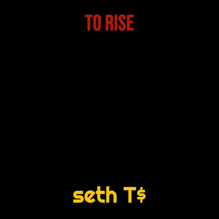 seth T$'s avatar image