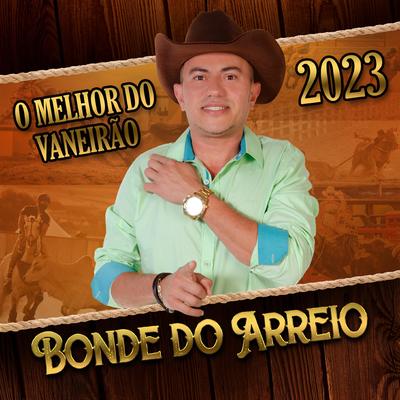 O Melhor do Vaneirão 2023's cover