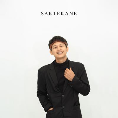 Saktekane's cover