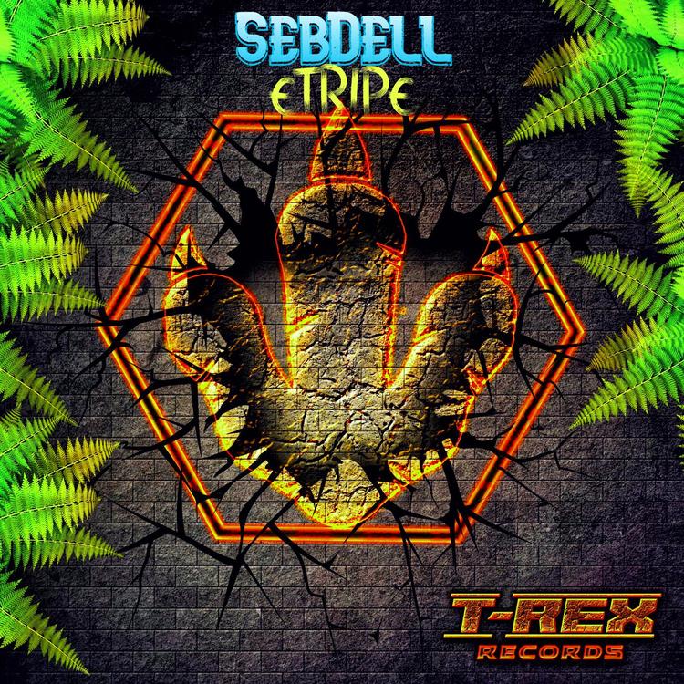 SebDell's avatar image