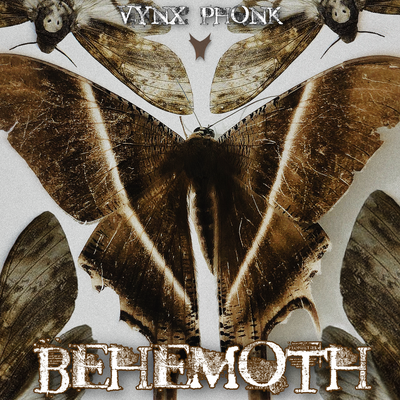 Behemoth By VYNX PHONK's cover