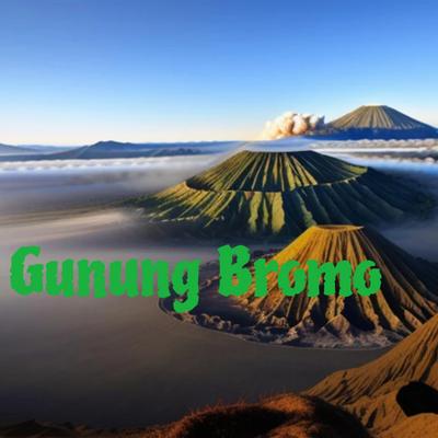 Gunung Bromo's cover