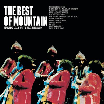 The Best Of Mountain's cover