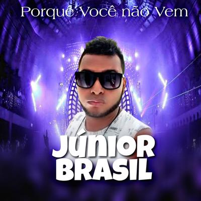 Porquê Você Não Vem By Júnior Brasil, Pablo do Arrocha, Thierry's cover