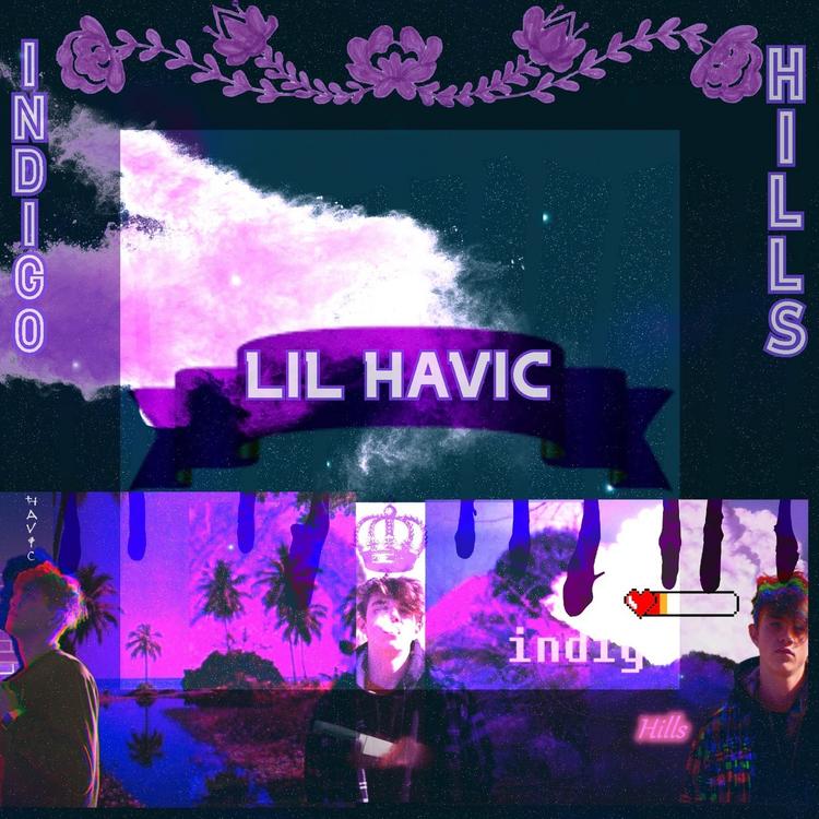 Lil Havic's avatar image