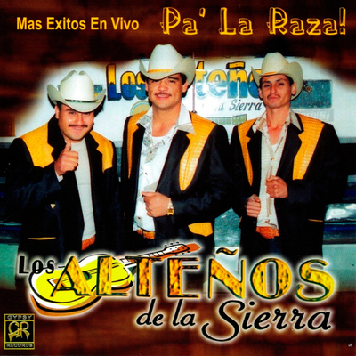 Mas Éxitos En Vivo Pa' La Raza's cover