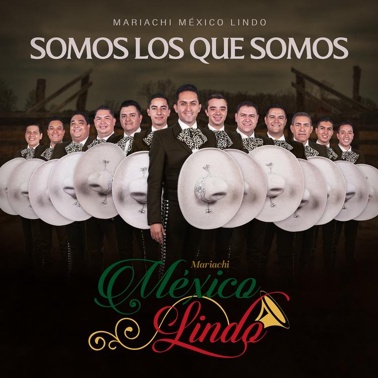 Mariachi México Lindo's avatar image