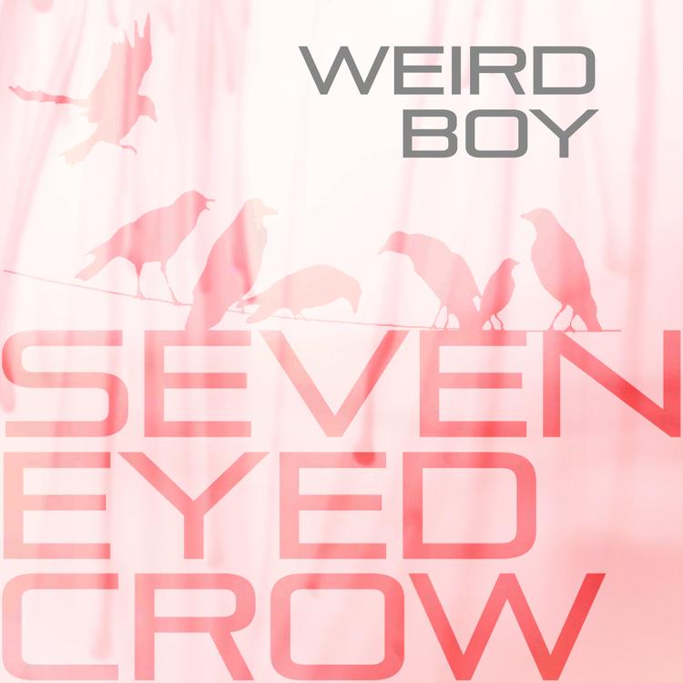 Seven Eyed Crow's avatar image