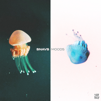 Moods By Snavs's cover