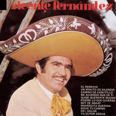 El Remedio (Album Version) By Vicente Fernández's cover