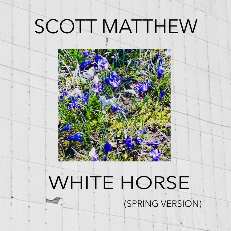 Scott Matthew's avatar image