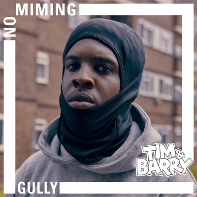 Gully - No Mining's cover