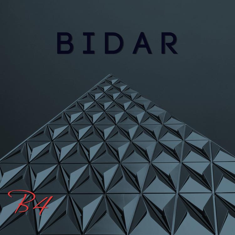 Bidar's avatar image