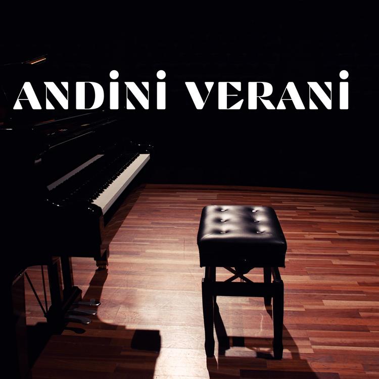 Andini Verani's avatar image