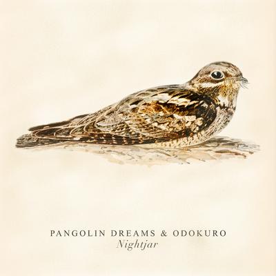 Nightjar By Pangolin Dreams, Odokuro's cover