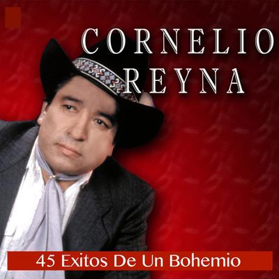 45 Exitos De Un Bohemio's cover