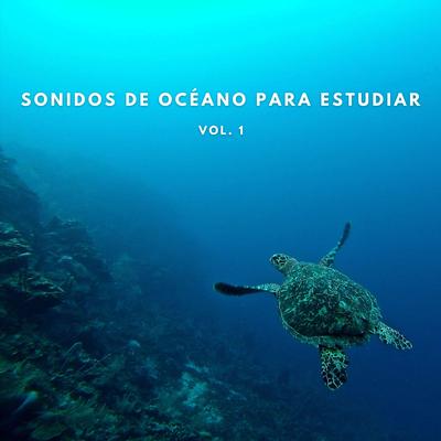 Exploración Oceánica's cover