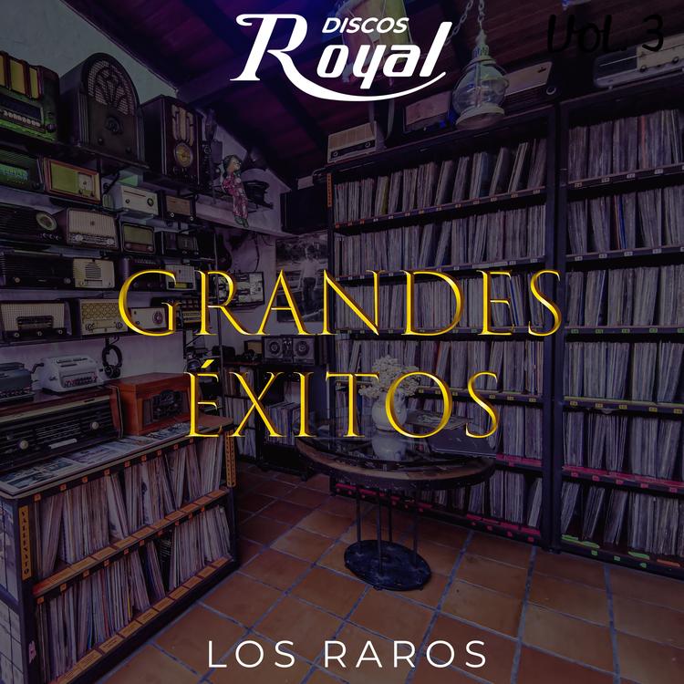 Los Raros's avatar image
