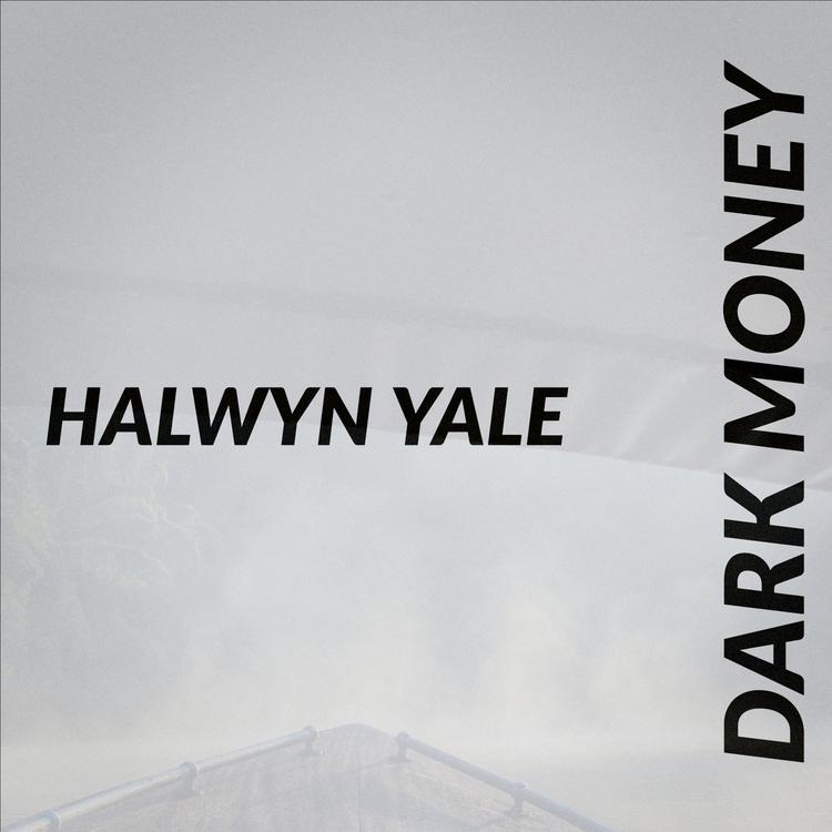 Halwyn Yale's avatar image