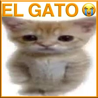 El Gatooo By 'Ery Noice's cover