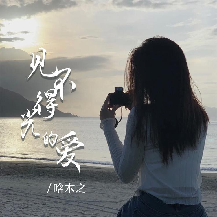 晗木之's avatar image