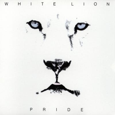 Lonely Nights By White Lion's cover