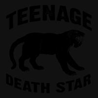 Teenage Death Star's avatar cover