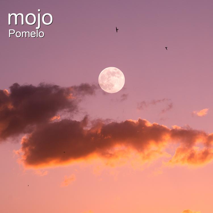 Pomelo's avatar image