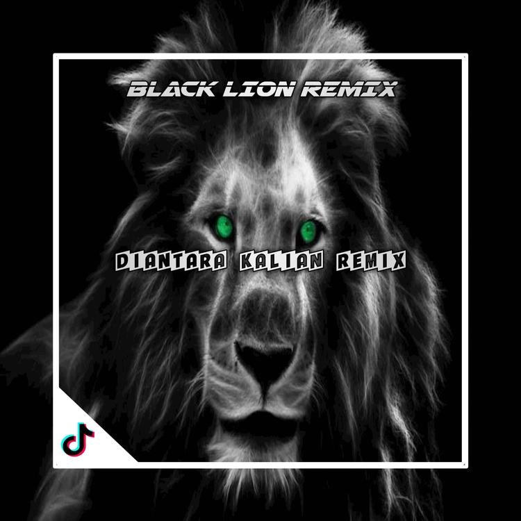 BLACK LION RMX's avatar image