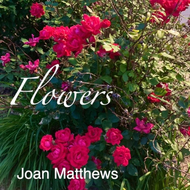 Joan Matthews's avatar image