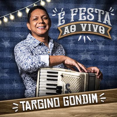 Fingindo Que Não Tá (Ao Vivo) By Targino Gondim's cover