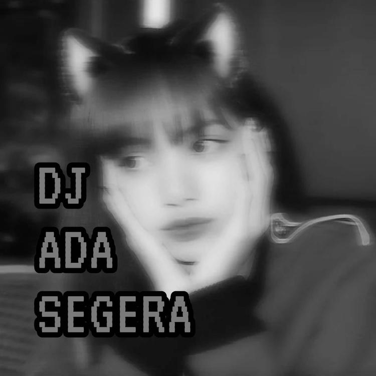 DJ ADA SEGERA's avatar image