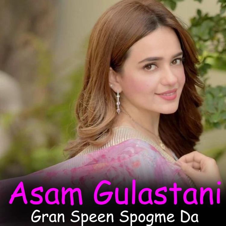 Asam Gulastani's avatar image